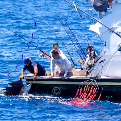pesca-ynews018a
